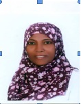 السر الجيلاني الأمين حماد